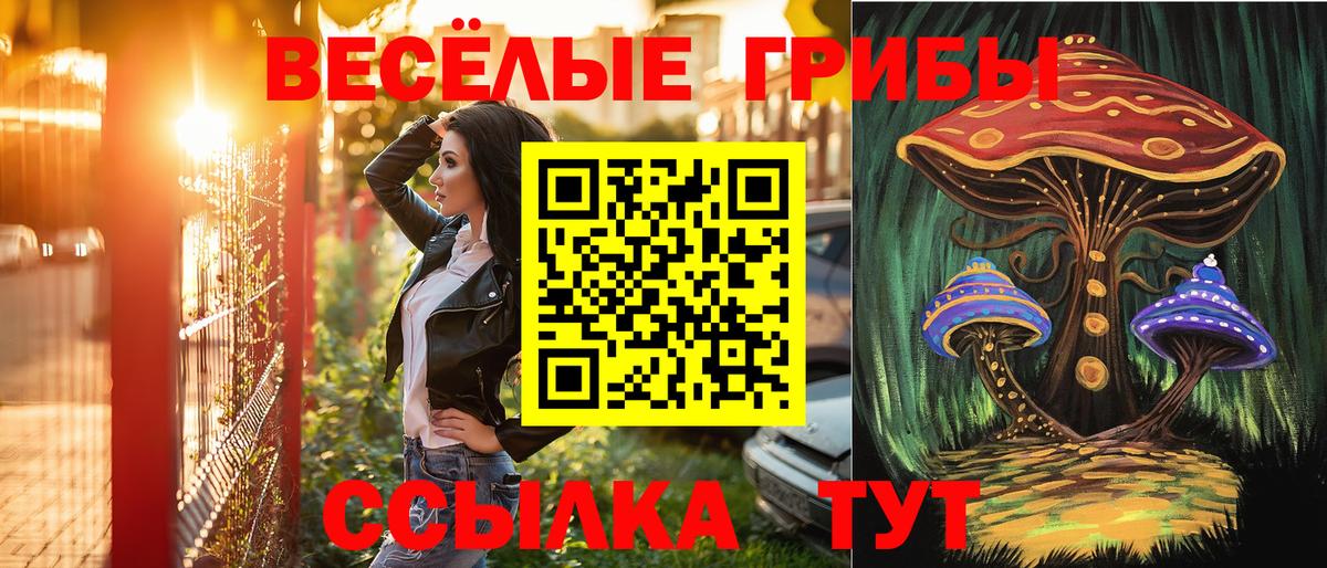 Хасавюрт  Галлюциногенные грибы мицелий  Вход с VPN  Галлюциногенные грибы Cubensis 